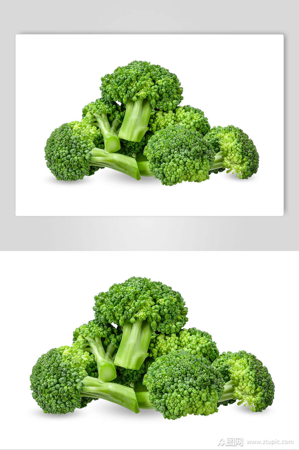 西兰花高清图片素材