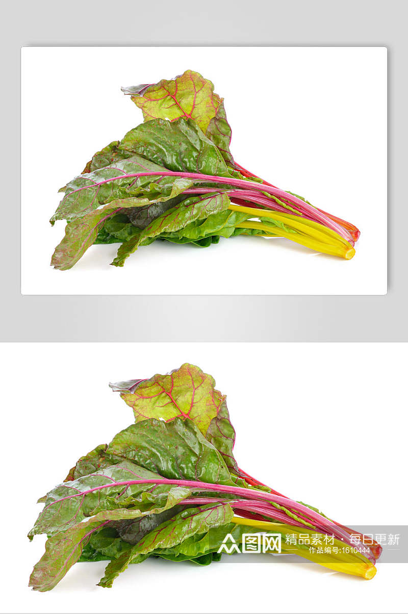 蔬菜青菜摄影图素材