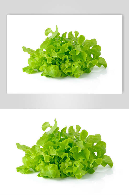 蔬菜展板背景图片-蔬菜展板背景设计素材-蔬菜展板背景模板下载