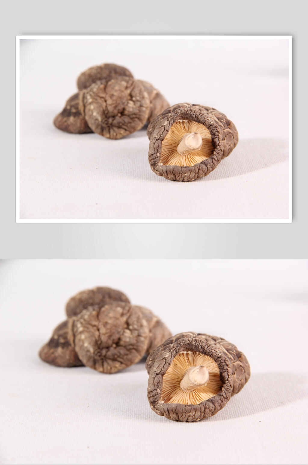 干香菇特写图片素材
