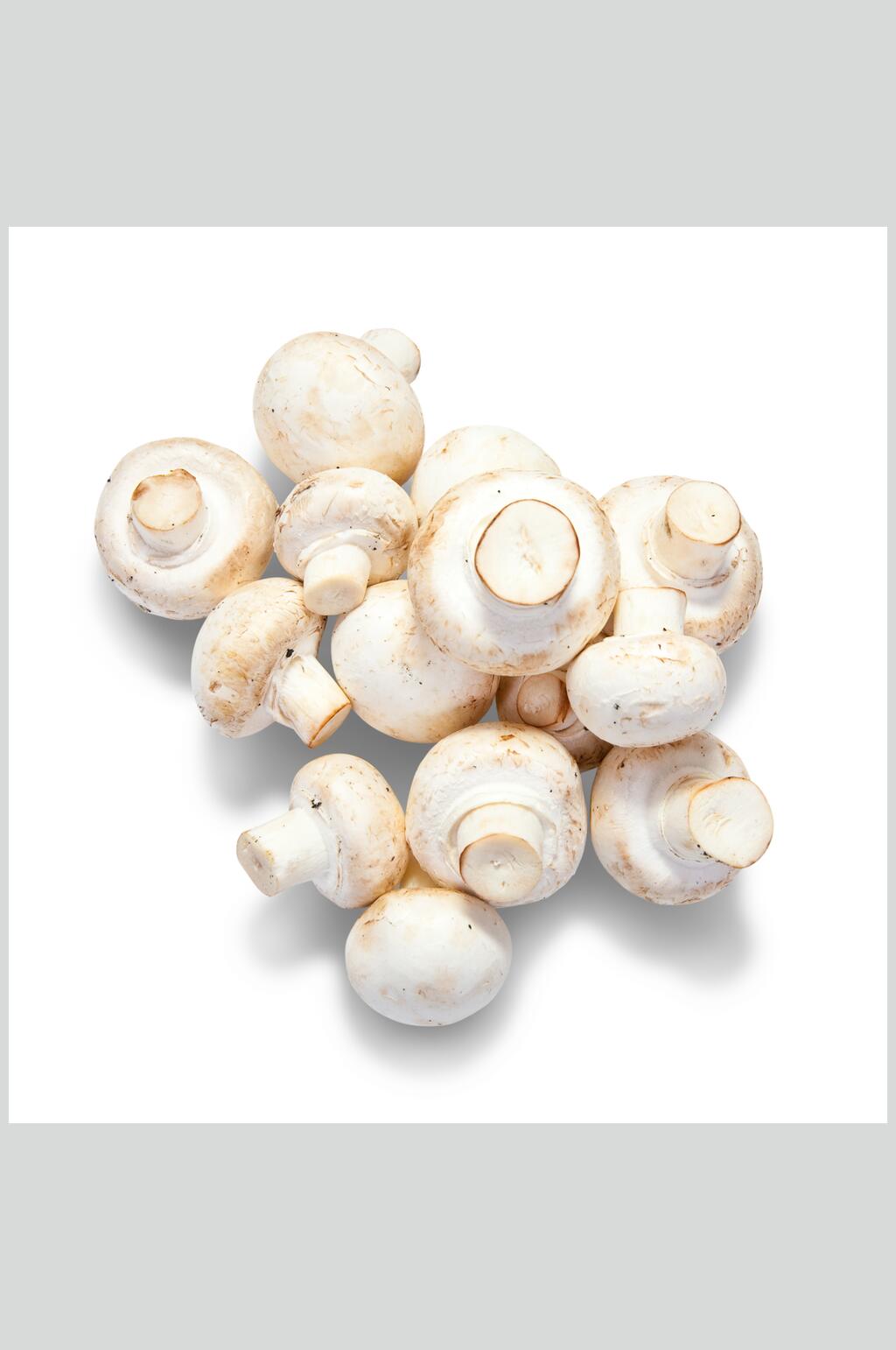白蘑菇蔬菜高清图片素材