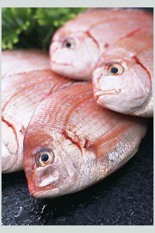 海鱼生鲜鱼类摄影图
