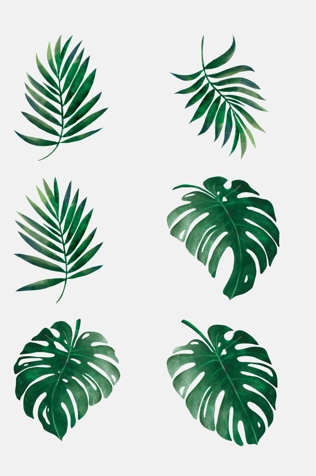 手绘画绿叶植物花草水彩元素素材素材