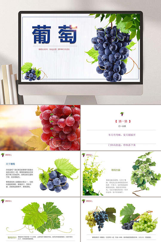 葡萄熟了ppt模板