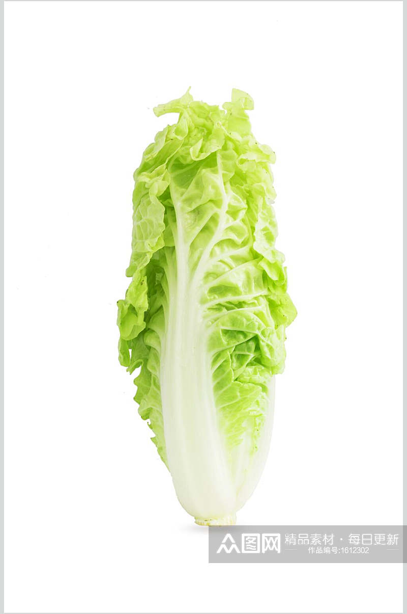 白菜蔬菜特写图片素材