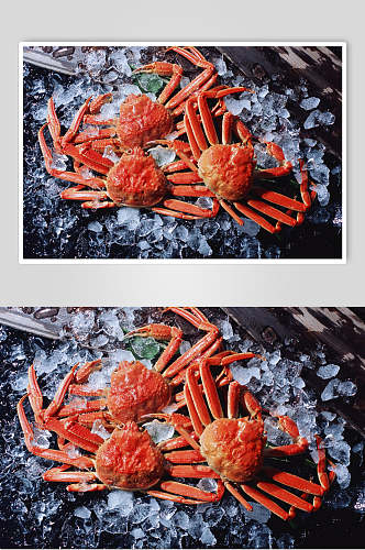 帝王蟹餐饮海鲜高清图片