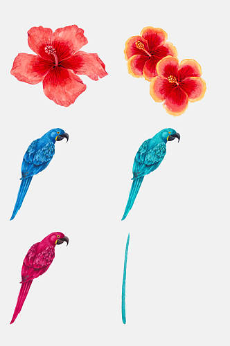 红花鹦鹉热带棕榈叶植物花鸟夏季水彩素材