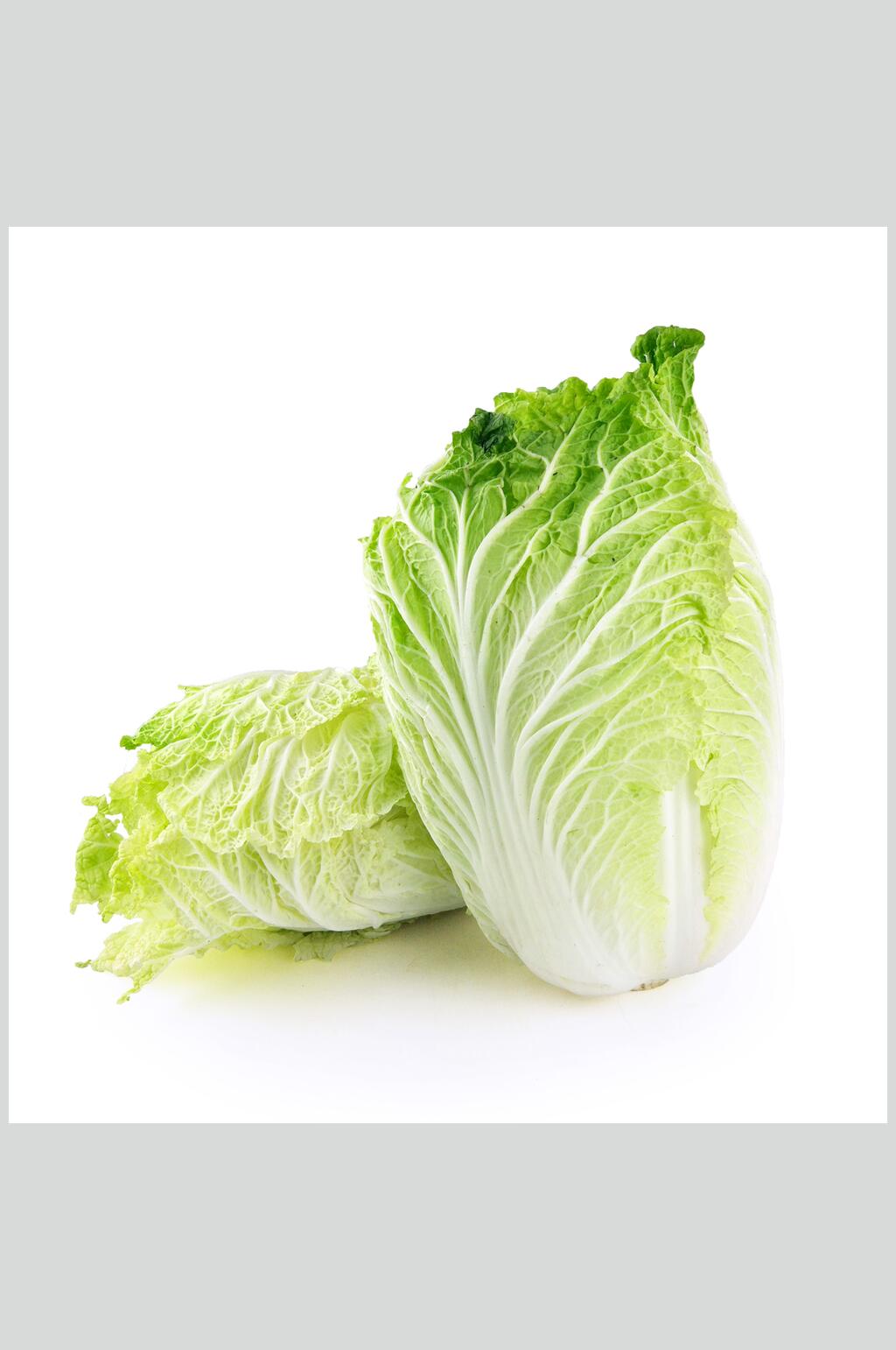 清甜大白菜高清摄影图片素材