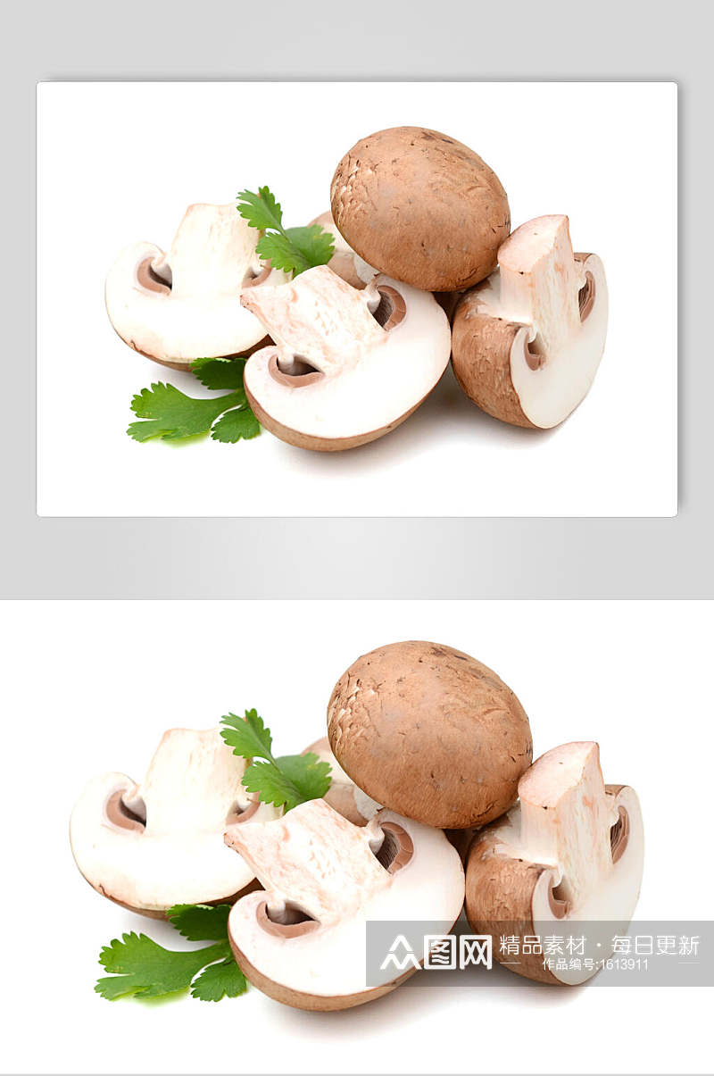 切片土特产香菇摄影图素材