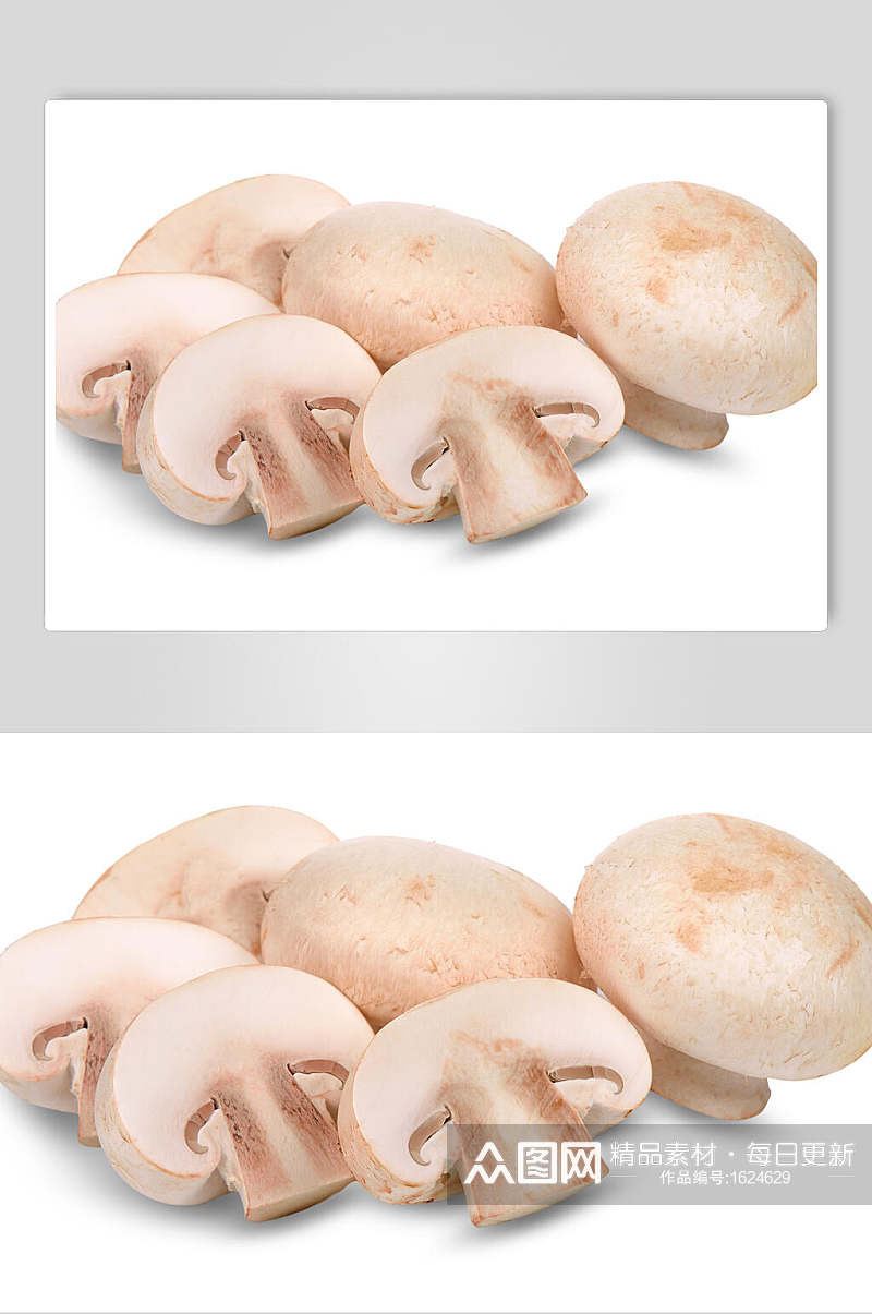 新鲜蘑菇高清图片素材