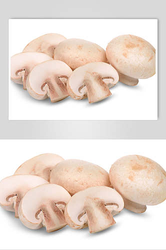 新鲜蘑菇高清图片