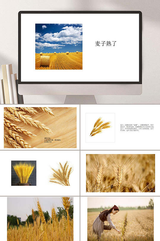 彩翼3岁4岁麦子熟了ppt模板