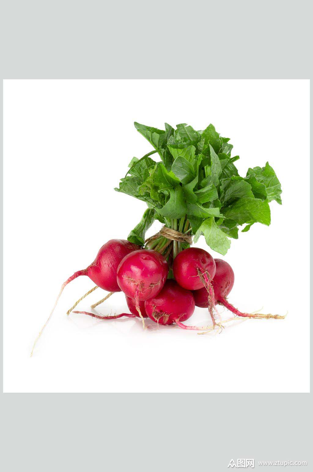 红萝卜高清图片素材