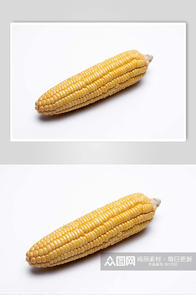 香嫩玉米高清摄影图片素材