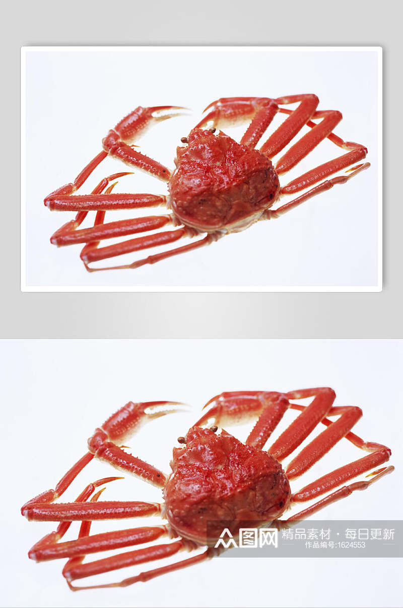 红色冰冻帝王蟹高清图片素材