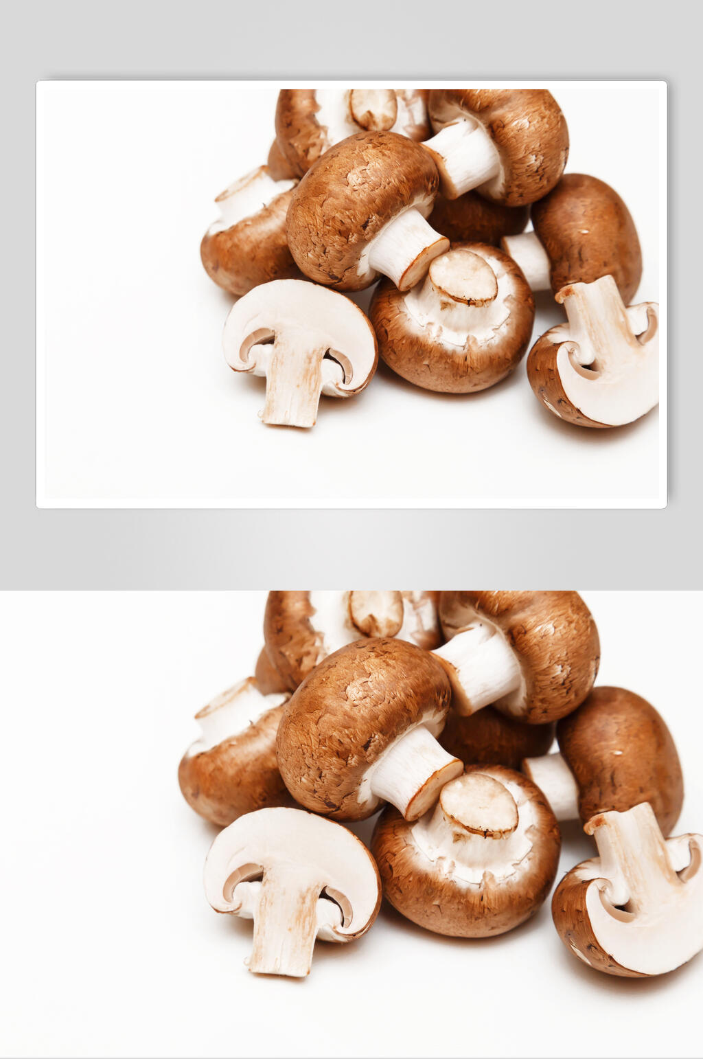 香菇食品蔬菜高清图片素材