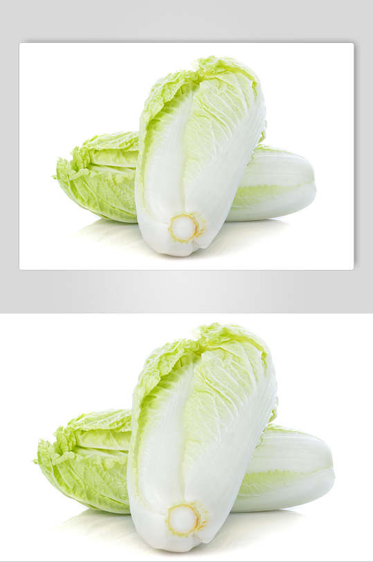 大白菜高清图片