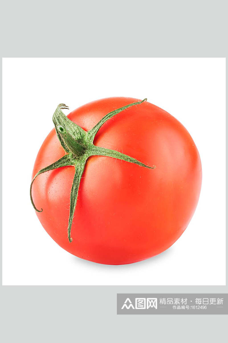 西红柿摄影高清图片素材