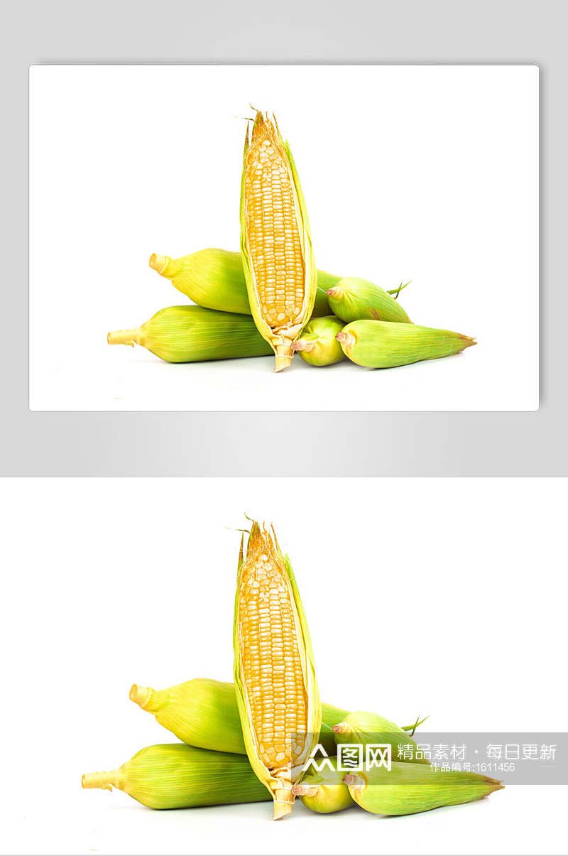 新鲜甜玉米高清图片素材