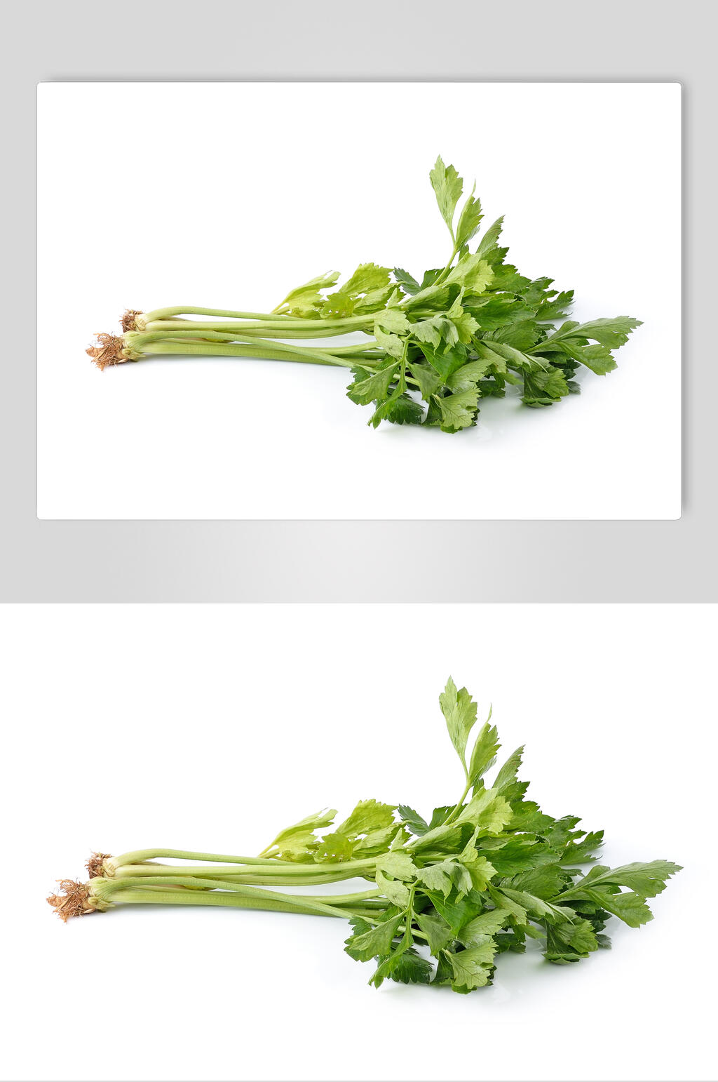 芹菜蔬菜高清图片素材