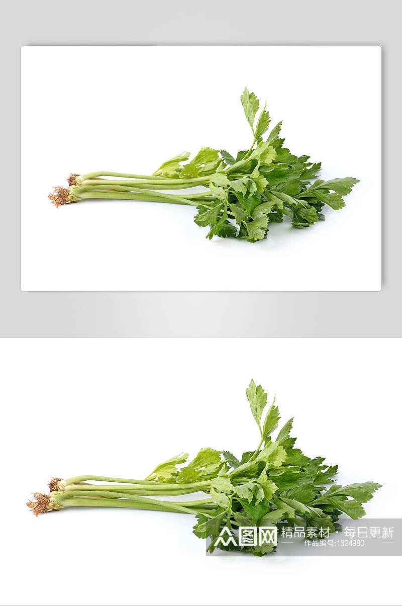 芹菜蔬菜高清图片素材