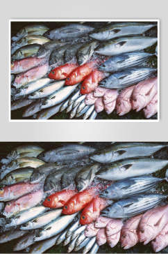 海鱼海鲜生鲜食品摄影图