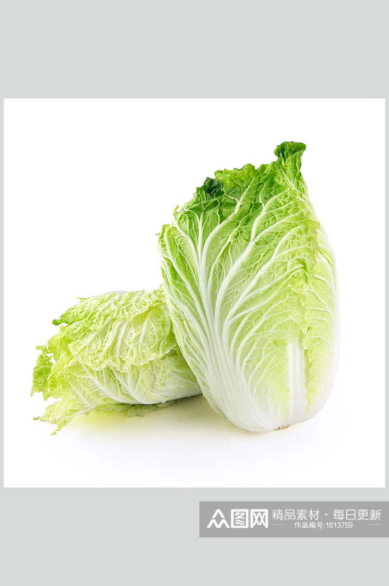 大白菜蔬菜食品美食图片素材