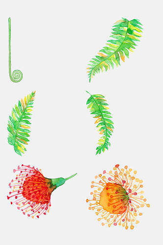热带棕榈叶植物花鸟夏季水彩元素素材