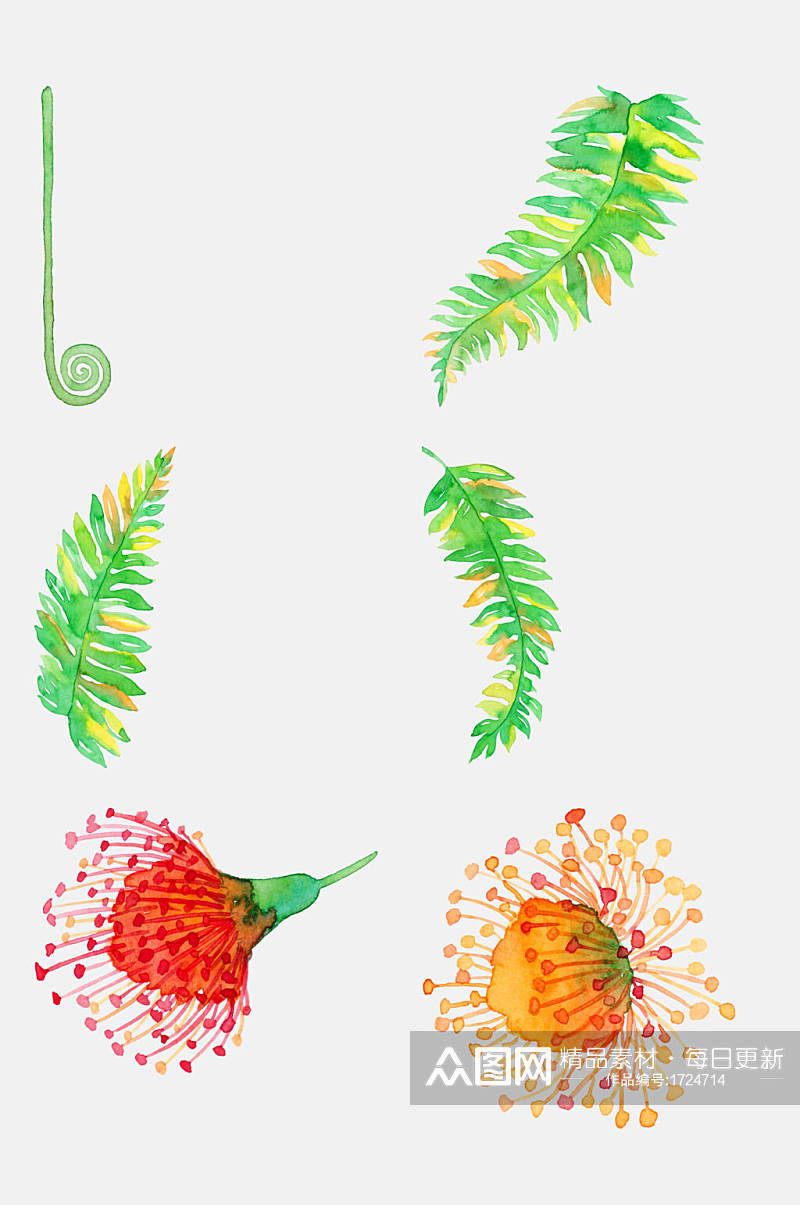 热带棕榈叶植物花鸟夏季水彩元素素材素材