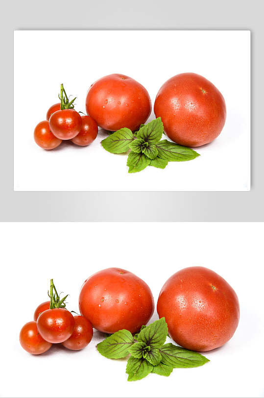 新鲜西红柿特写图片