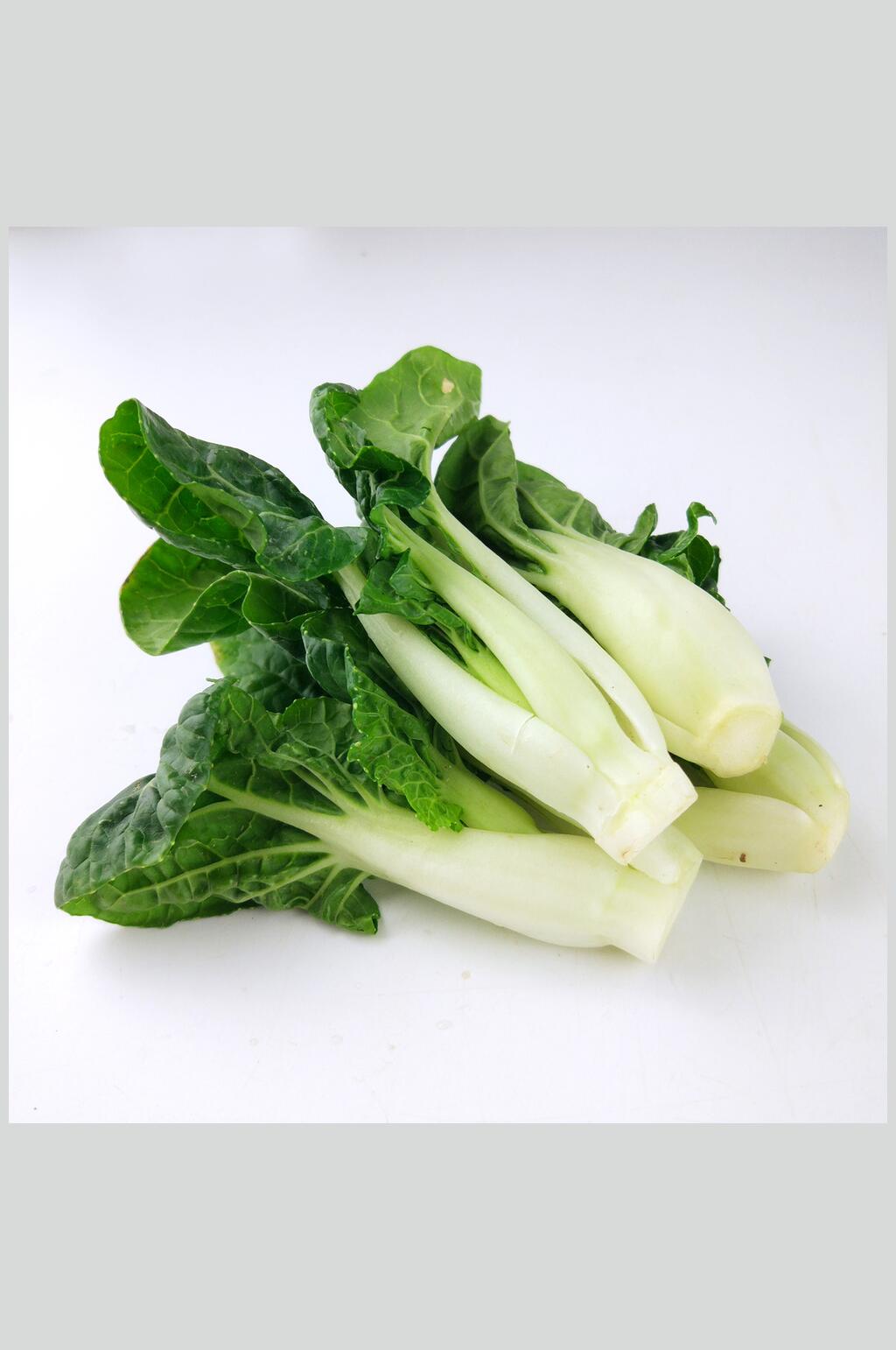 奶油白菜高清图片素材