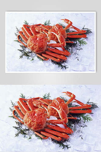 帝王蟹高端美食摄影图