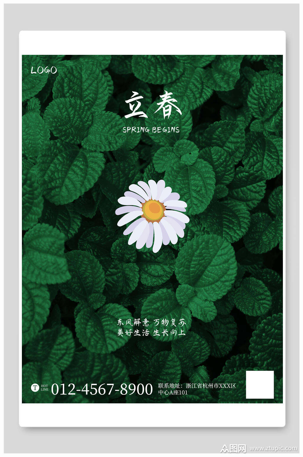 绿叶花朵立春宣传海报模板下载-编号1624789-众图网