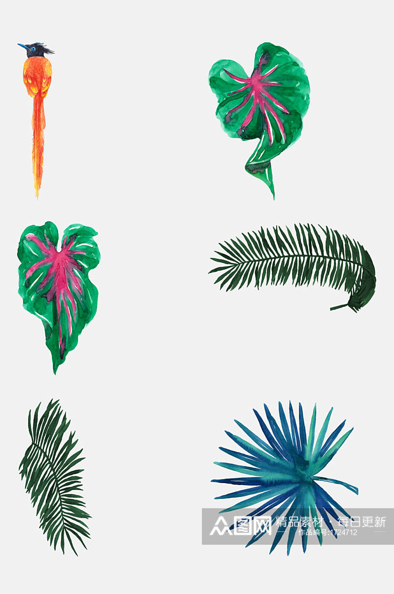叶子热带棕榈叶植物花鸟夏季水彩素材素材