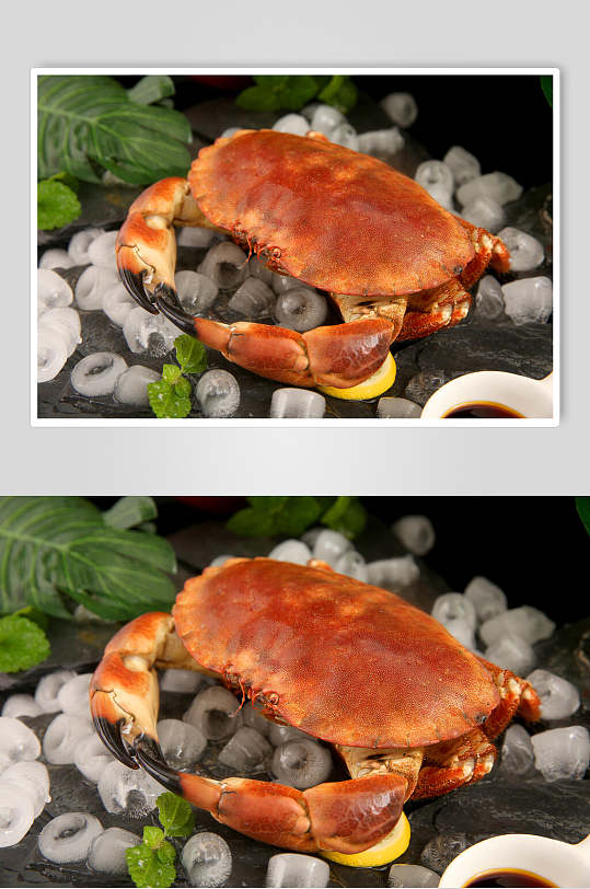 面包蟹生鲜海鲜摄影图