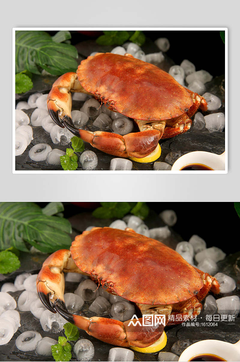 面包蟹生鲜海鲜摄影图素材
