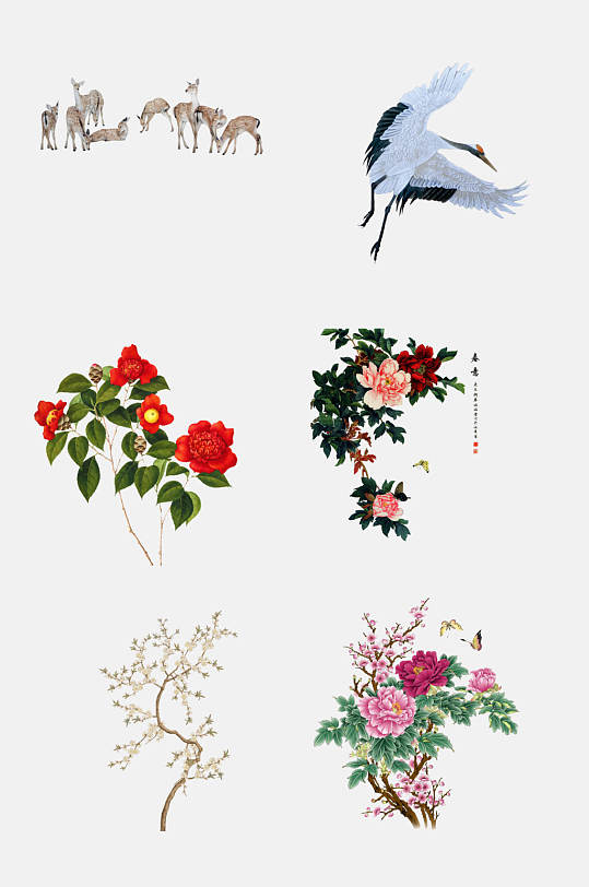 手绘画中式花鸟免抠元素素材