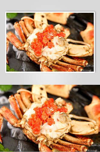 面包蟹蟹黄高清图片