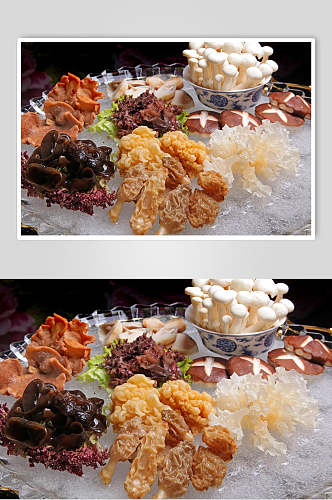三菇六耳拼美食摄影图片