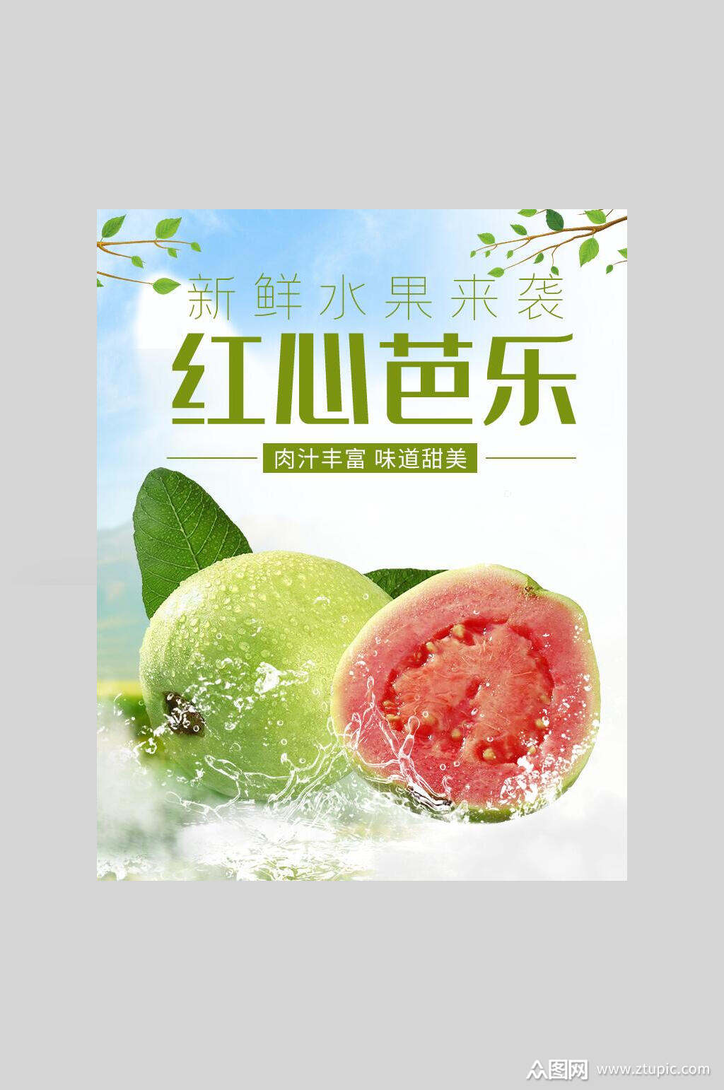 新鲜红色芭乐海报