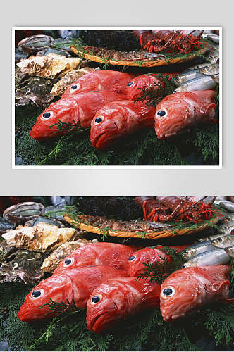 红鱼海鱼餐厅美食高清图片