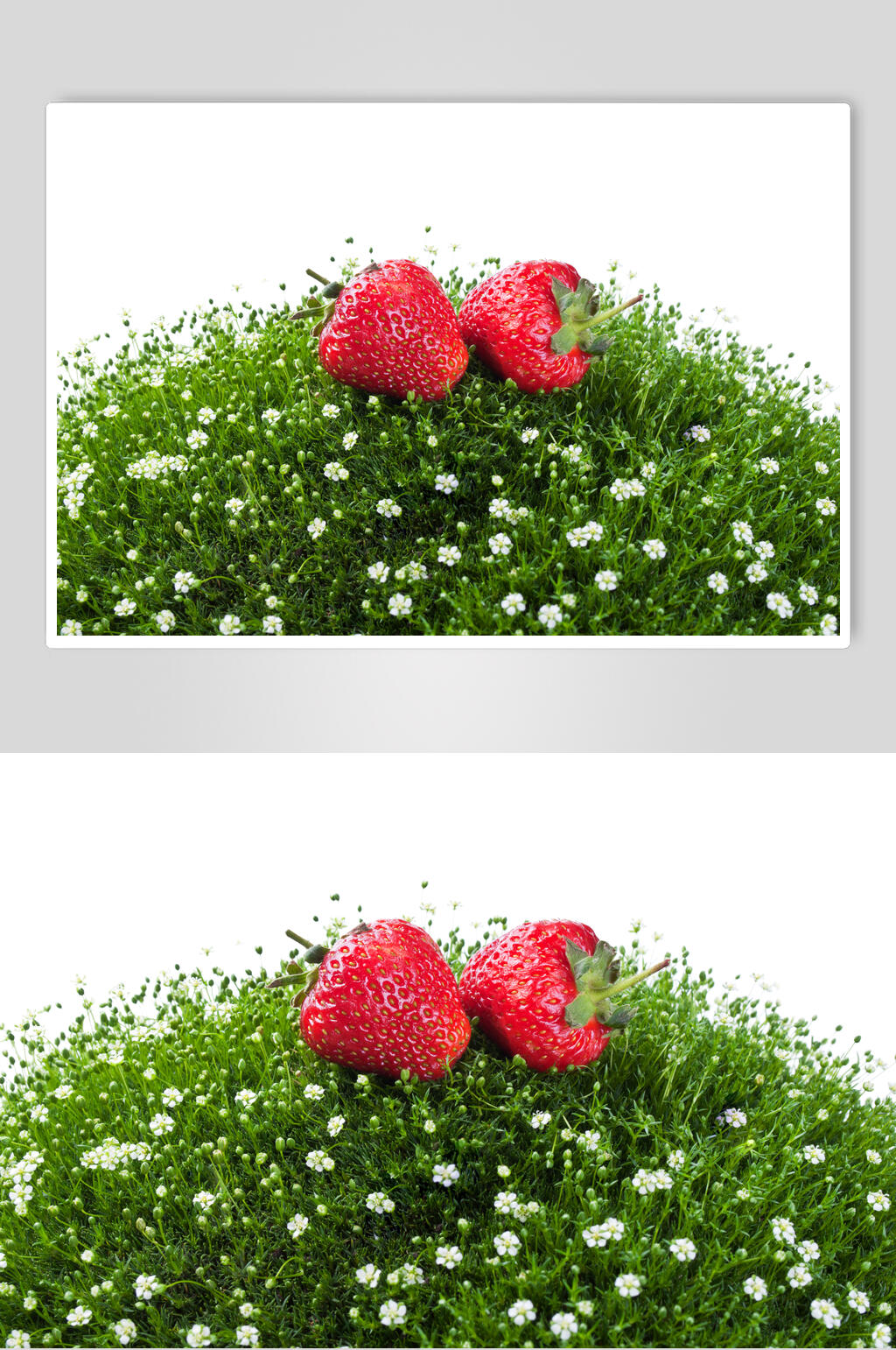 生鲜草莓批发草莓园水果摄影图素材