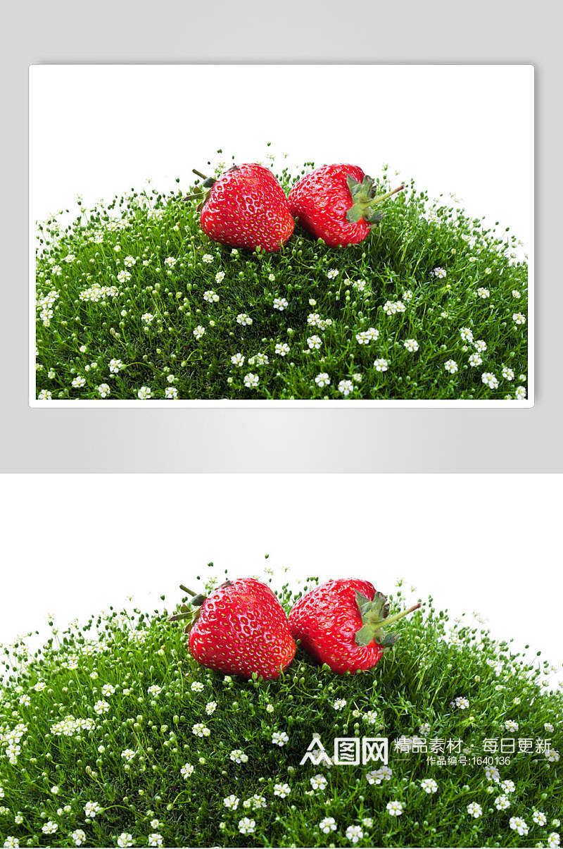 生鲜草莓批发草莓园水果摄影图素材