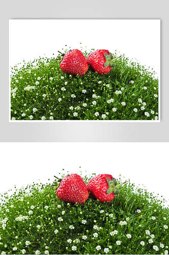 生鲜草莓批发草莓园水果摄影图
