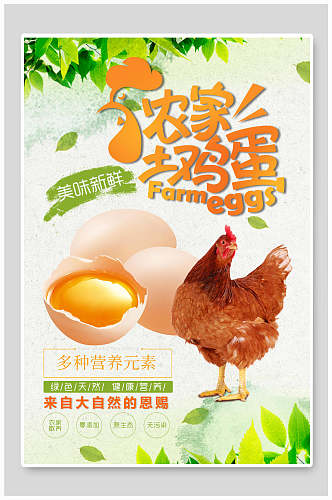 营养农家土鸡蛋土特产海报