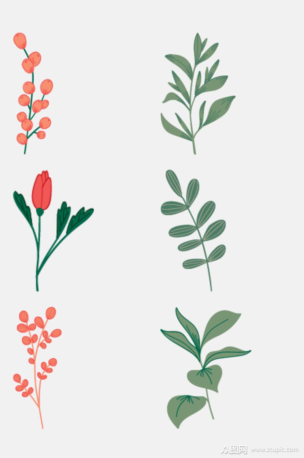 野花植物花草元素素材