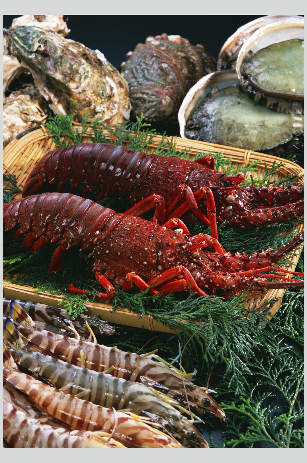 大龙虾海货高清图片素材