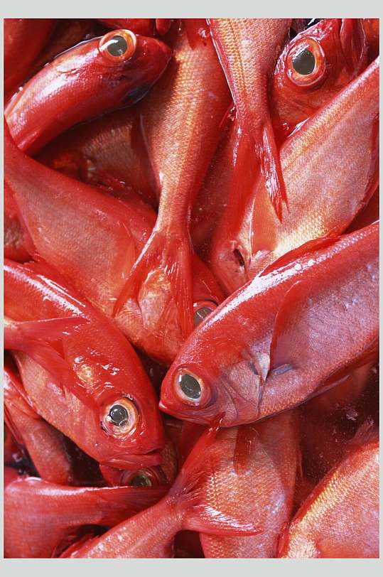 海鱼餐厅红鱼美食高清图片