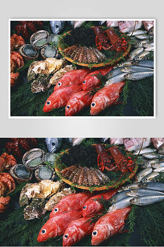 海货海鱼海鲜餐厅美食高清图片