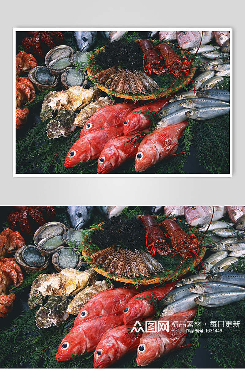 海货海鱼海鲜餐厅美食高清图片素材